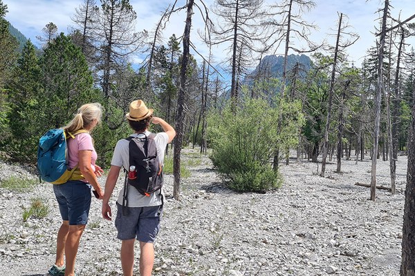 Une rivière sauvage