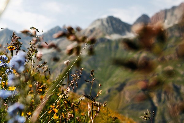 Biodiversität braucht mutige Politik und stringente Umsetzung