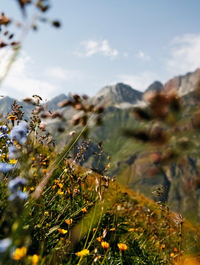 Biodiversität braucht mutige Politik und stringente Umsetzung