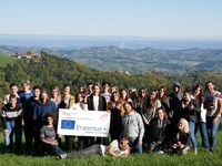 Keimende Ideen und blühende Projekte