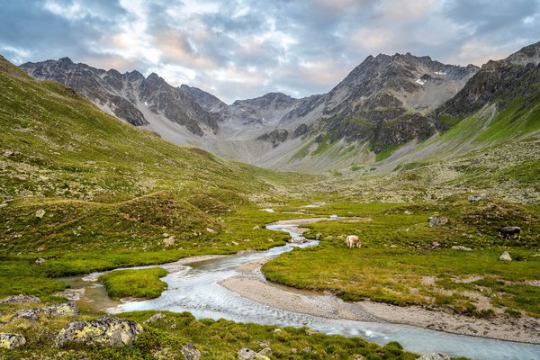 Stopp für zerstörerisches Wasserkraftprojekt in Österreich gefordert