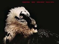 25 Jahre internationales Bartgeier-Projekt