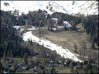 Pistenraupen und Kunstschnee bedrohen Pflanzenvielfalt