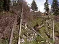 Gewarnt vor Sturm, Waldbrand und Lawinen