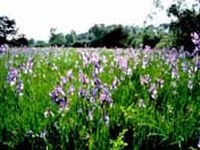 Internationale Konferenz "Natura 2000 Management"