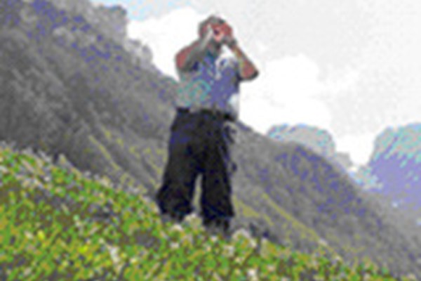 Forum für die zeitgenössische Schweizer Volkskultur