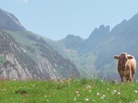 Tourismuspolitik unter der Lupe - werden die Mittel nachhaltig eingesetzt?