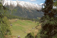 Gelebtes Wissen in den Alpen