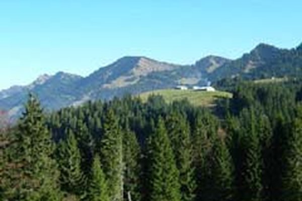 Grenzüberschreitendes Gipfeltreffen der Grünen