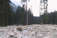 Klimaziele: klarer Appell aus der Wissenschaft