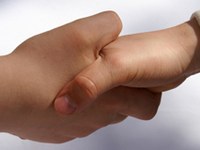 Alpe Adria forciert alternative Energien über Grenzen