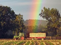 Neues von der SAVE Foundation