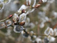 Wärmstes Jahrzehnt seit mindestens 130 Jahren