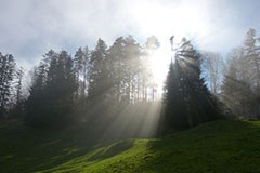50 Jahre Naturparks in Österreich
