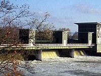 Rhein bald Lachsfluss
