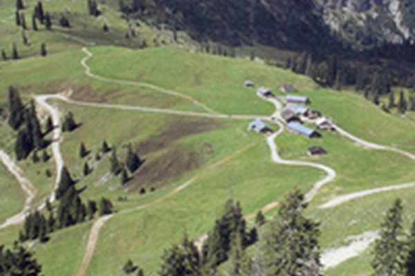 Förderung der Almwirtschaft