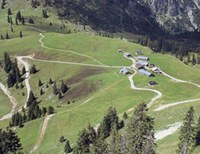 Förderung der Almwirtschaft