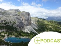 Alpenböden: Verbündete im Klimaschutz