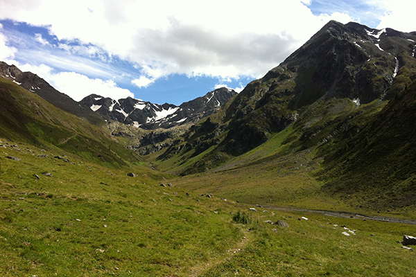 Alpenschneehühner dürfen weiter brüten