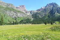 Alpine Schutzgebiete und Klimawandel