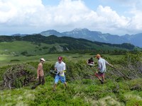 Bürgerbeteiligung: Wie wir Land gewinnen