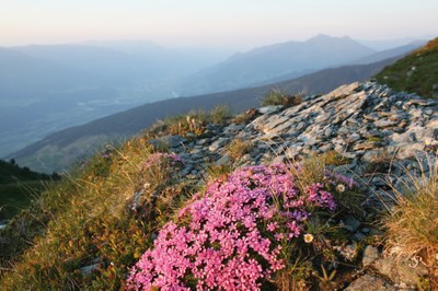 Das Bodenschutzprotokoll der Alpenkonvention – Bedeutung und Anwendung