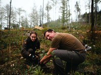 Ein Managementmodell für Jelovica