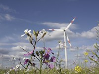 Energie und Natur in den Alpen: ein Balanceakt