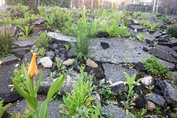 Hitze durch Bodenversiegelung