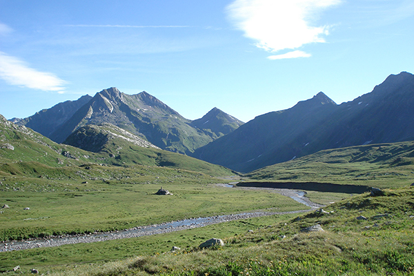 Kein zweiter Nationalpark für die Schweiz