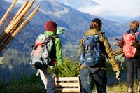 Klimakrise: Lösungen aus der Natur