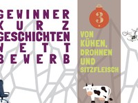 Kurzgeschichte: Von Kühen, Drohnen und Sitzfleisch