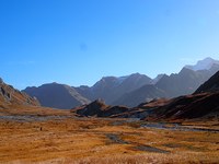 Nationalpark Adula: Geburt mit Komplikationen