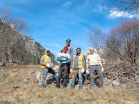 Natur und Leben zuhauf