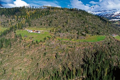 Ökosysteme aus dem Gleichgewicht
