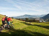 Rasantes Thema: Mountainbiking