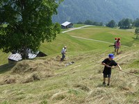 Sieg und Niederlage für neue Schutzgebiete