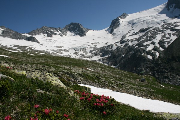 Stolzer Freudentag für den Hochgebirgs-Naturpark Zillertaler Alpen – Urkundenverleihung „Naturpark des Jahres 2015“