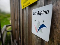 Via Alpina: 20 Jahre Weitwandern