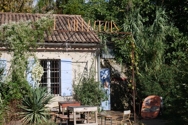 Vom Feld bis zum Teller