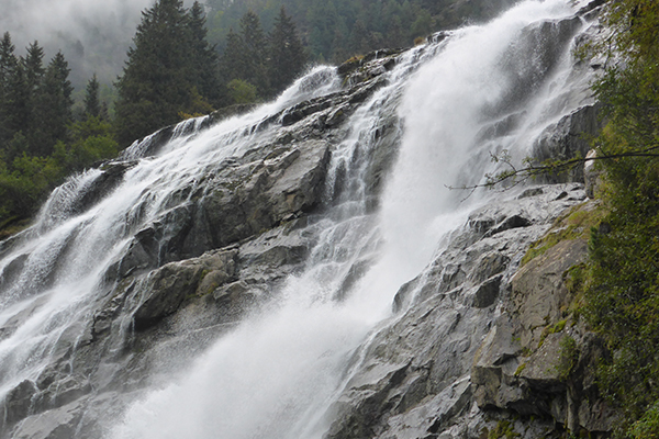 Was die Natur leistet