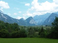 Wie Vielfalt verloren geht