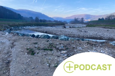 Zu viel Wasser, zu wenig Wasser: Exkursion in den Wienerwald