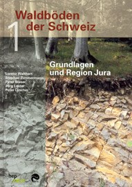 Waldböden der Schweiz