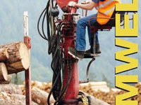 Holz - wieder ein sicherer Wert