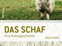 Das Schaf