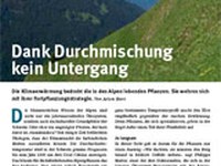 Dank Durchmischung kein Untergang