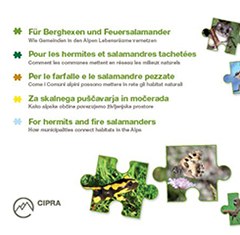 Für Berghexen und Feuersalamander