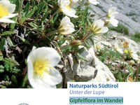 Gipfelflora im Wandel - Das Projekt GLORIA in Südtirol