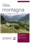 Montagna 04 / 2020